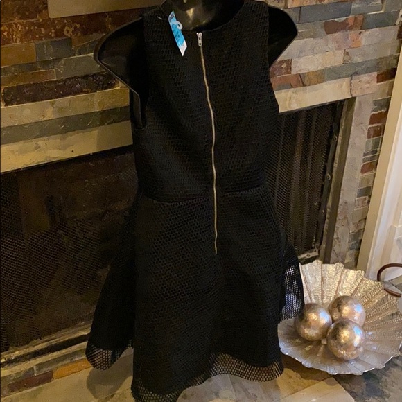 Black Flared Netted Dress - Picture 3 of 6